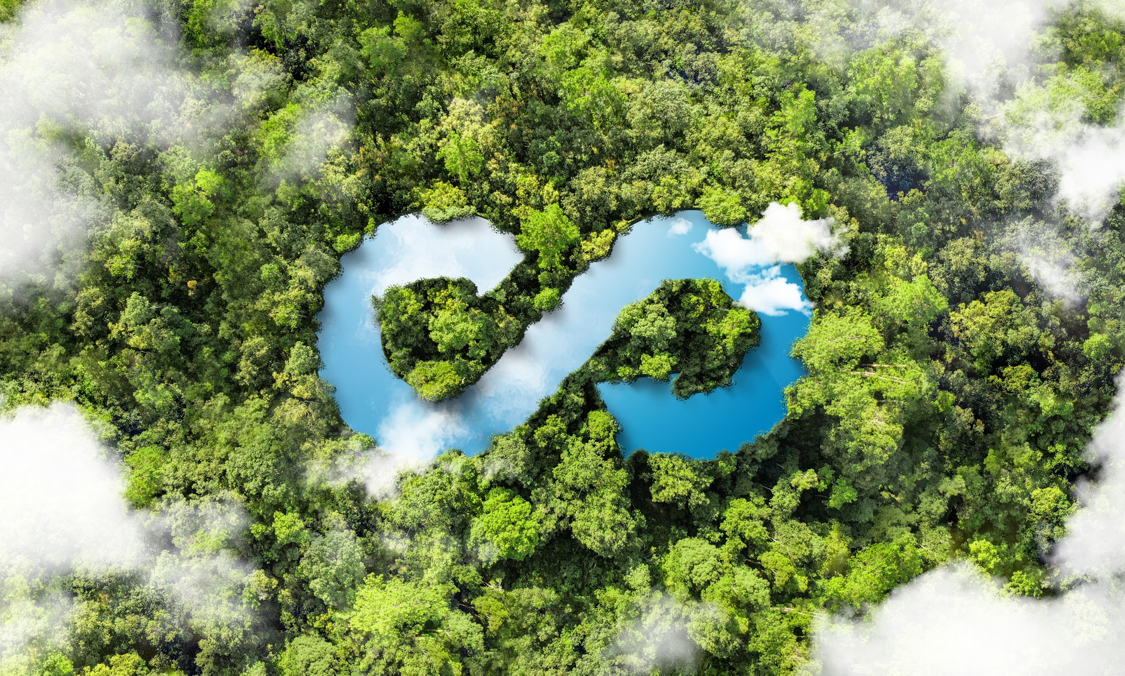 Circular Economy