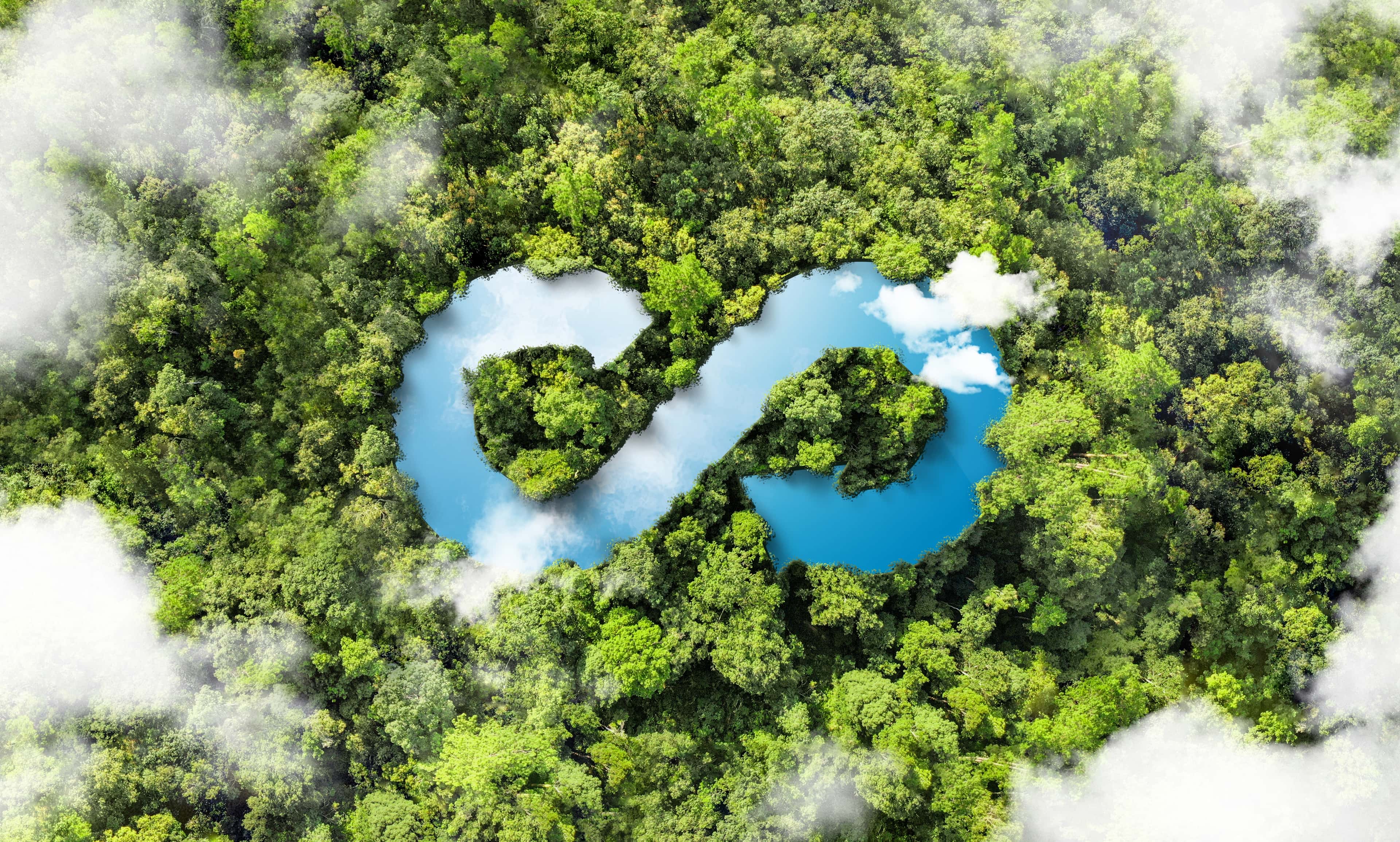 Circular Economy