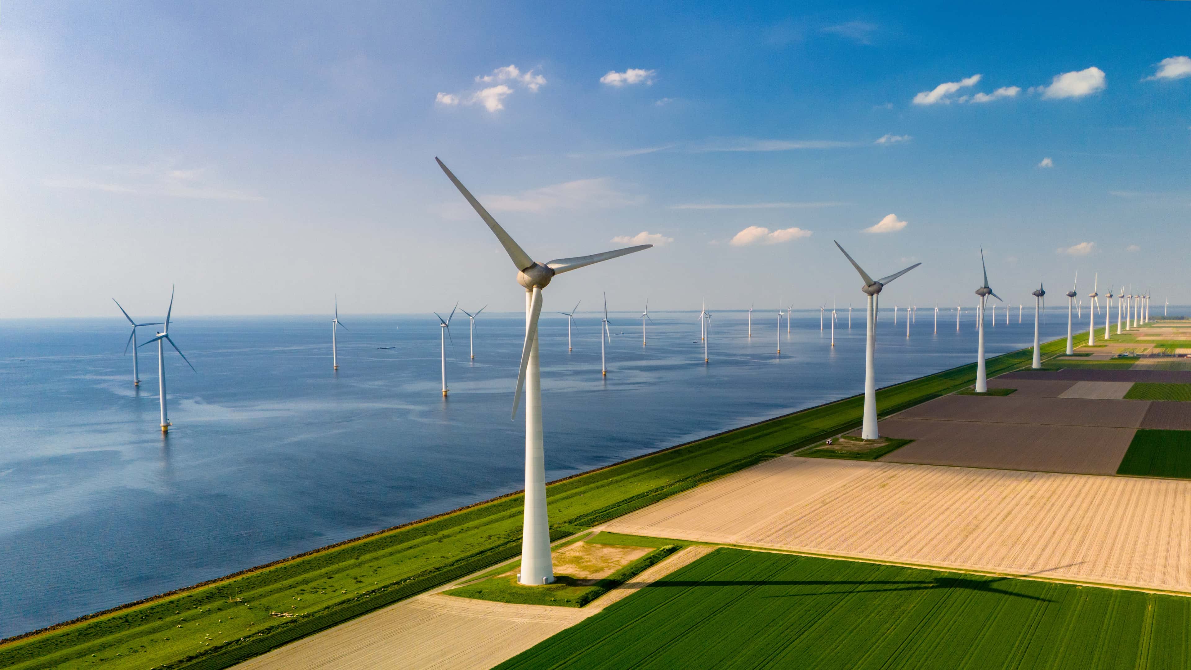 Green Engineering Case Studies